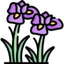 Iris icon