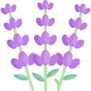 lavanda icon