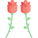 rosa icon