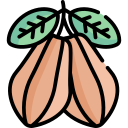 cacao icon