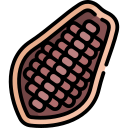 cacao icon