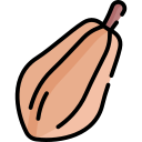 cacao icon