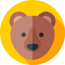 oso icon