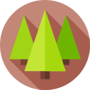 pinos icon