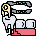 dental icon