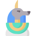 anubis icon