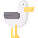 gaviota icon