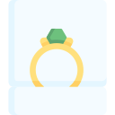 anillo icon