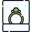 anillo icon