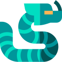 dragão 
