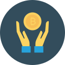 bitcoin icon