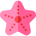 estrella de mar 