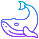 ballena icon