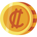 colon icon