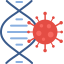 estructura de adn 