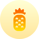 piña icon