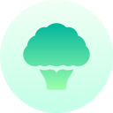 coliflor icon