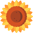 girasol icon