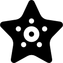 estrella de mar icon