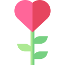 planta de amor 