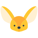 fennec 