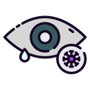 ojo icon