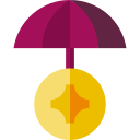 seguro icon