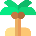 palmera icon