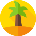 palmera icon