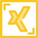 xing icon