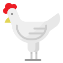 pollo