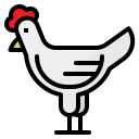 pollo icon