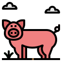 cerdo icon