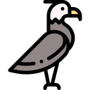 Águila icon