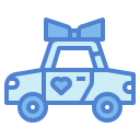 coche de boda icon