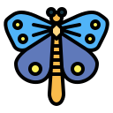 mariposa