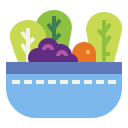 vegetal icon