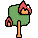 Árbol ardiente icon