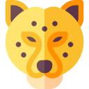 jaguar icon