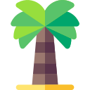 palmera icon