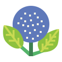 hortensia icon