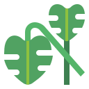 monstera icon