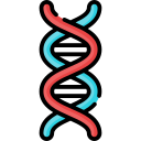 Dna