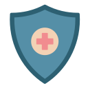 la seguridad icon