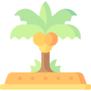 palmera