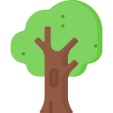 Árbol