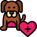 chien 