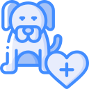 chien 