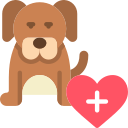 chien 