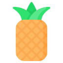 piña icon